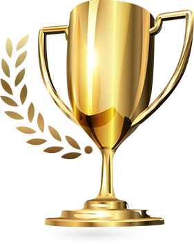 School Excellence Medal